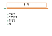 MAIIM 광고 분석 레포트-2