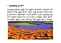 영국의 축제 레포트-6