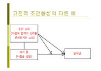 행동주의 이론1-13