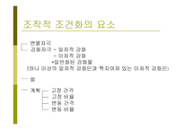 행동주의 이론1-17