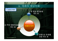 세례 성례전 Sacraments of Baptism2-10