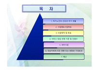 독거노인의 성공적인 노년기-2
