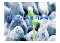 미혼모가족과 가족복지-1