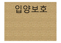 입양 보호 레포트-1