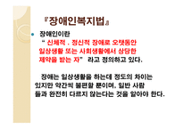 장애인의 개념과 범주 유형-10