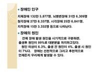장애인의 개념과 범주 유형-11