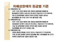 장애인의 개념과 범주 유형-16