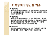 장애인의 개념과 범주 유형-17