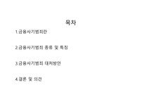 금융사기범죄 보고서-2