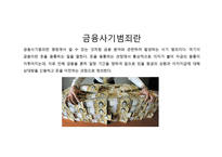 금융사기범죄 보고서-3