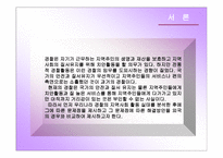 지역사회 경찰활동의 가치와 실태분석 및 민경협력방안 보고서-3