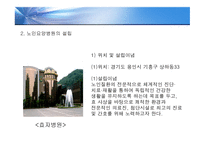 노인요양병원 조사보고서-8