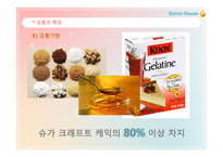SucreHouse 사업계획서 Ebusiness실습-12