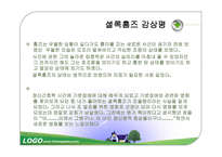 셜롬 홈즈 기분장애 조울증 사례-20