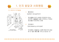 developmental psy chology발달심리학-11