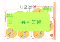 아동발달의 이해 제장 인간발달의 유전학적 기초-5