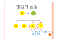 아동발달의 이해 제장 인간발달의 유전학적 기초-8
