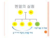 아동발달의 이해 제장 인간발달의 유전학적 기초-9