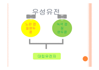 아동발달의 이해 제장 인간발달의 유전학적 기초-10