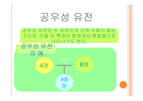 아동발달의 이해 제장 인간발달의 유전학적 기초-13