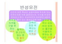 아동발달의 이해 제장 인간발달의 유전학적 기초-14