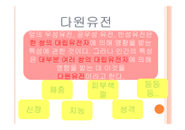 아동발달의 이해 제장 인간발달의 유전학적 기초-15