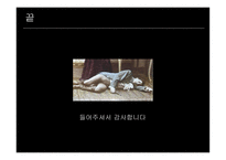 젊은 베르테르의 슬픔 요한 볼프강 폰 괴테-19