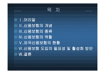 신용보험의 현황과 활용방안-2