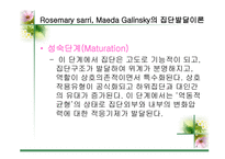 집단 과정과 프로그램 개입기술-18