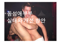 동성애 부부 실태와 개선방안-1