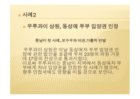동성애 부부 실태와 개선방안-10