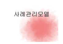 사례관리모델 보고서-1