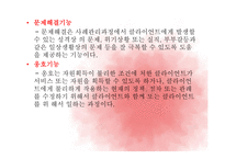 사례관리모델 보고서-12
