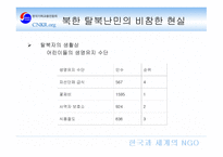 소수자 인권문제 보고서-13