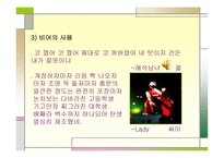 대중가요의 언어_대중가요의 언어2-13