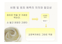 교정 복지론 비행 및 범죄 예측론 우리나라 범죄 및 비행의 실태와 현황-2