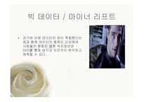 교정 복지론 비행 및 범죄 예측론 우리나라 범죄 및 비행의 실태와 현황-8