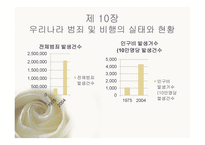 교정 복지론 비행 및 범죄 예측론 우리나라 범죄 및 비행의 실태와 현황-11