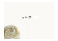 교정 복지론 비행 및 범죄 예측론 우리나라 범죄 및 비행의 실태와 현황-17