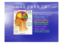 신경계 손상으로 인한 언어장애-4