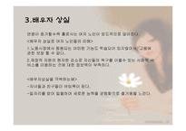 인간 행동과 사회환경 노년기와 사회복지-13