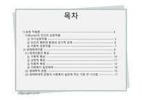 사회복지 실천에 필요한 이론적 관점-2