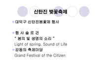 신탄진 벚꽃축제-2