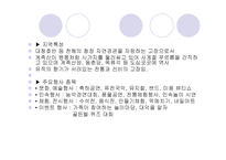 신탄진 벚꽃축제-6