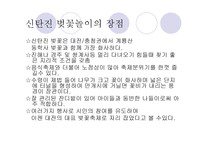 신탄진 벚꽃축제-14