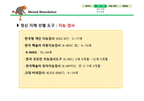 정신지체와 학습장애-8