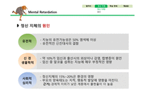 정신지체와 학습장애-11