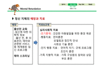 정신지체와 학습장애-16
