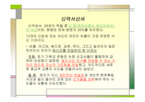 신약 서신서 레포트-2