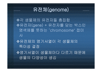Human genome project와 전망-3